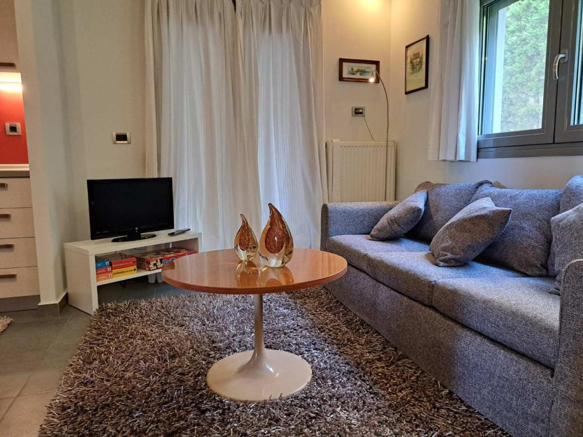 Flat With Garden In Ioannina Apartment Luaran gambar